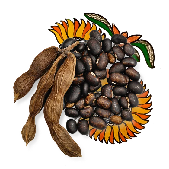 Velvet bean pods