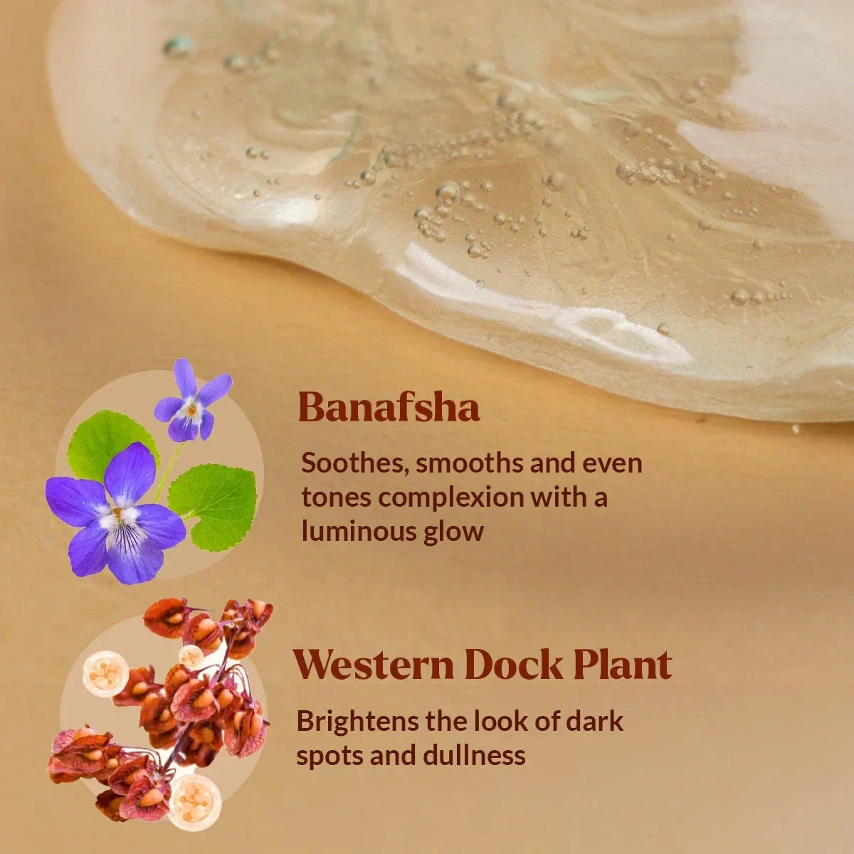 Dim N Dazzle Gel-to-Milk Skin Polish Face Serum – Even-tones and Plumps for Glassy, Polished looking skin – Enriched with Banafsha and Western Dock Plant – Best Double Serum for Polished, Plumped, Glassy-Smooth Skin. Serum A Modernica Naturalis 